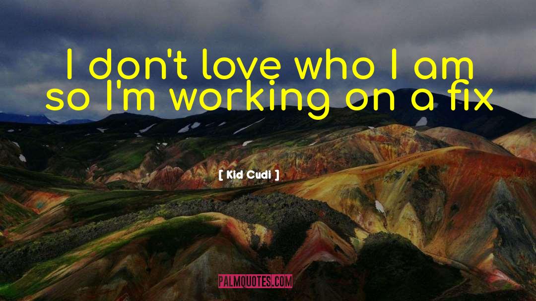 Kid Cudi Quotes: I don't love who I