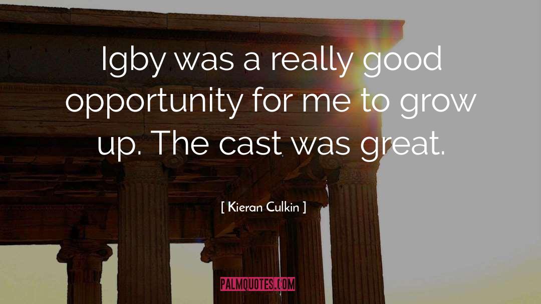 Kieran Culkin Quotes: Igby was a really good
