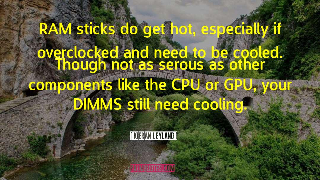 Kieran Leyland Quotes: RAM sticks do get hot,