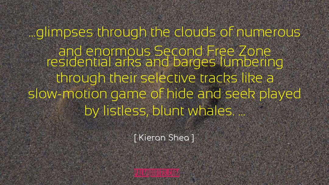 Kieran Shea Quotes: ...glimpses through the clouds of