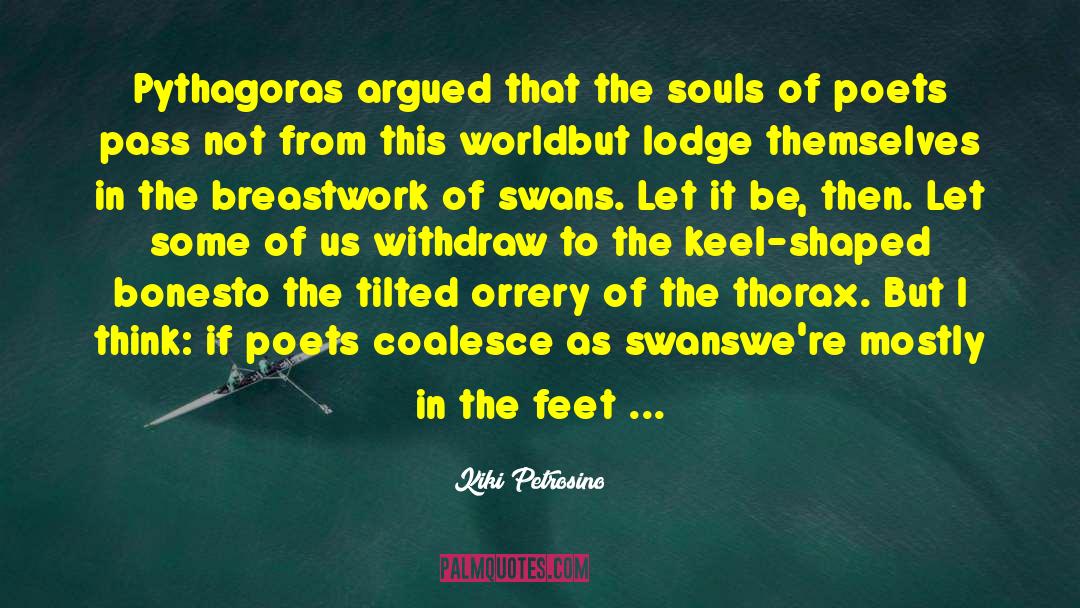 Kiki Petrosino Quotes: Pythagoras argued that the souls