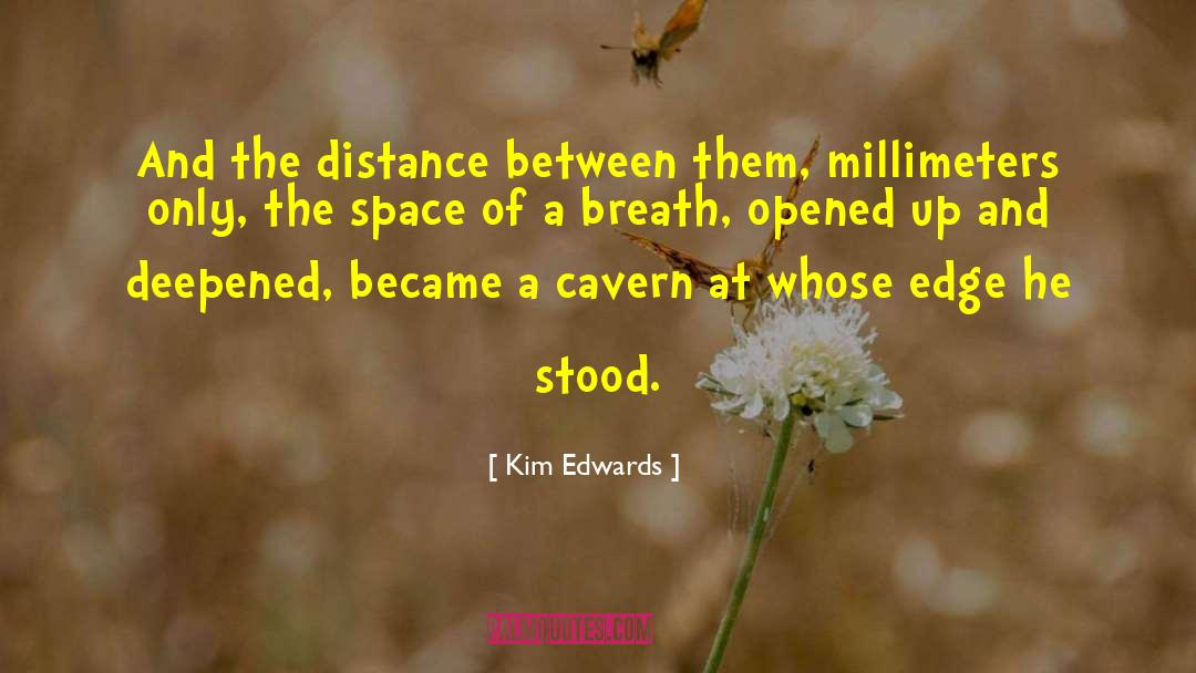 Kim Edwards Quotes: And the distance between them,