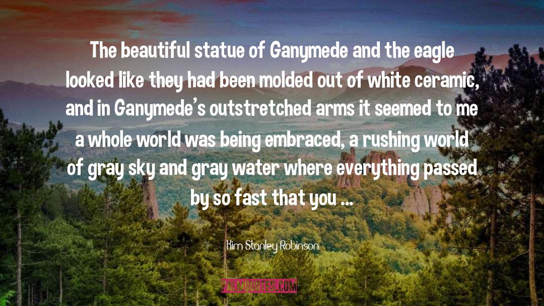 Kim Stanley Robinson Quotes: The beautiful statue of Ganymede
