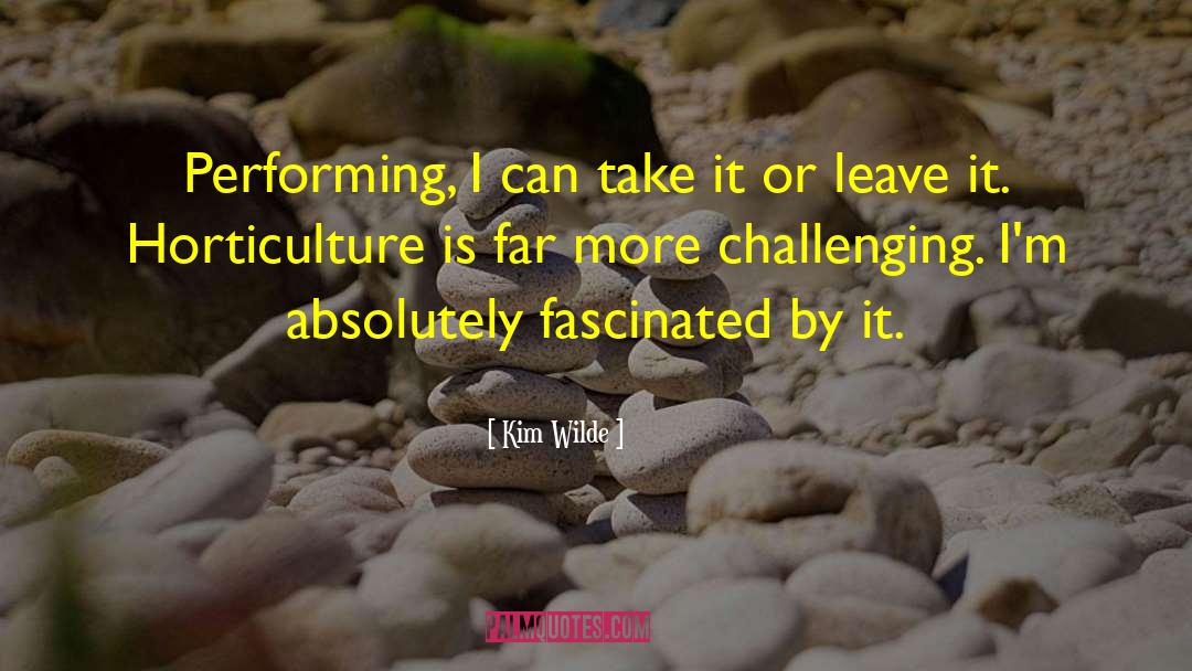 Kim Wilde Quotes: Performing, I can take it