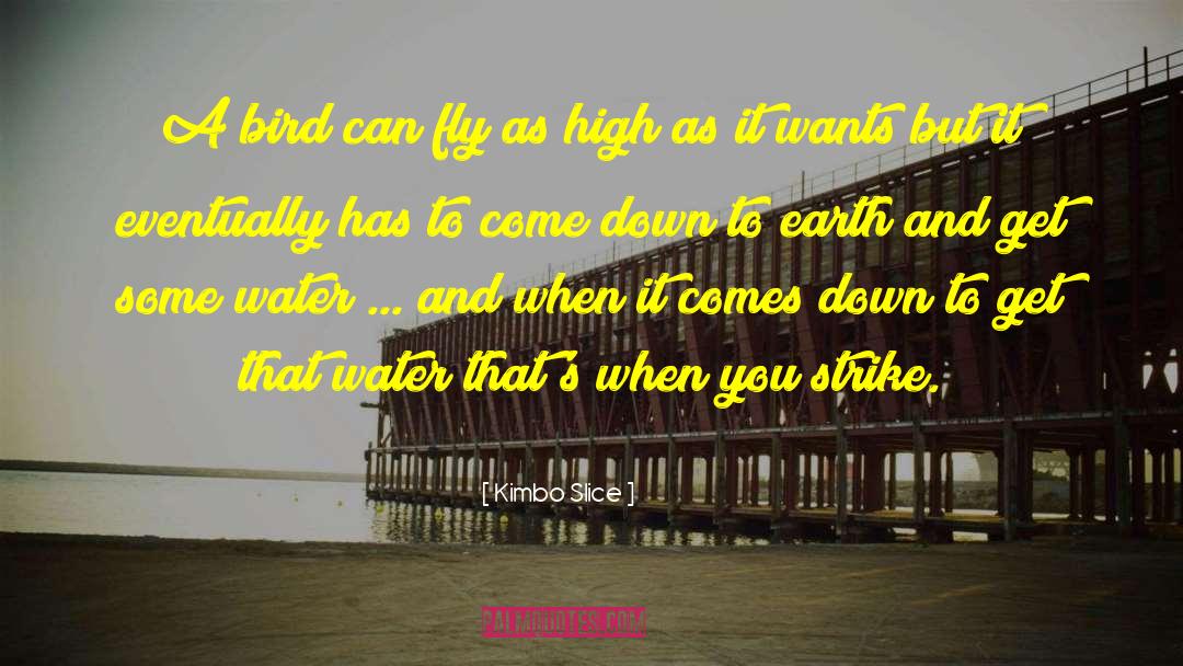 Kimbo Slice Quotes: A bird can fly as