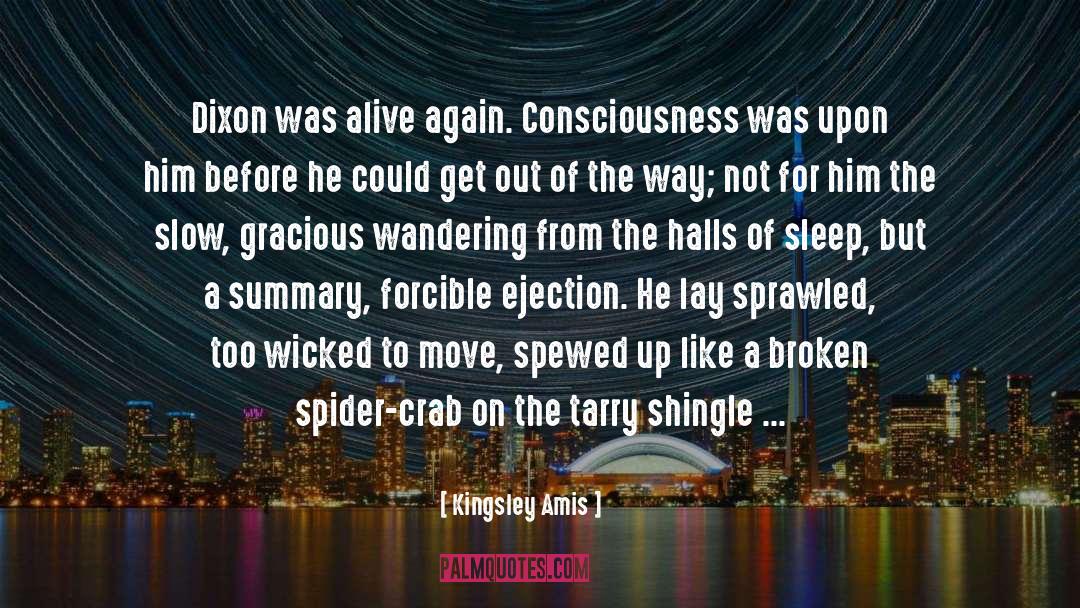 Kingsley Amis Quotes: Dixon was alive again. Consciousness