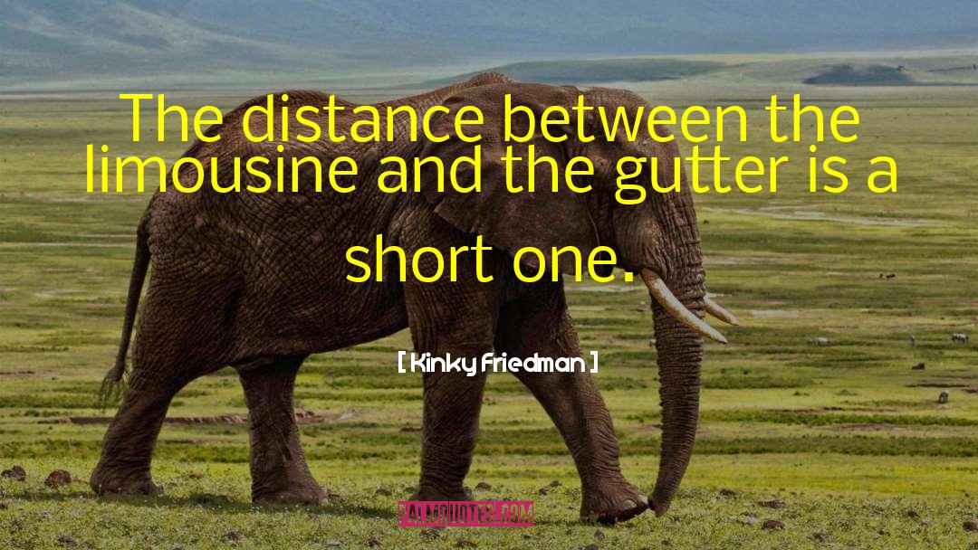 Kinky Friedman Quotes: The distance between the limousine