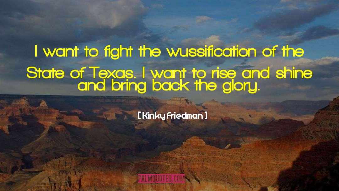 Kinky Friedman Quotes: I want to fight the