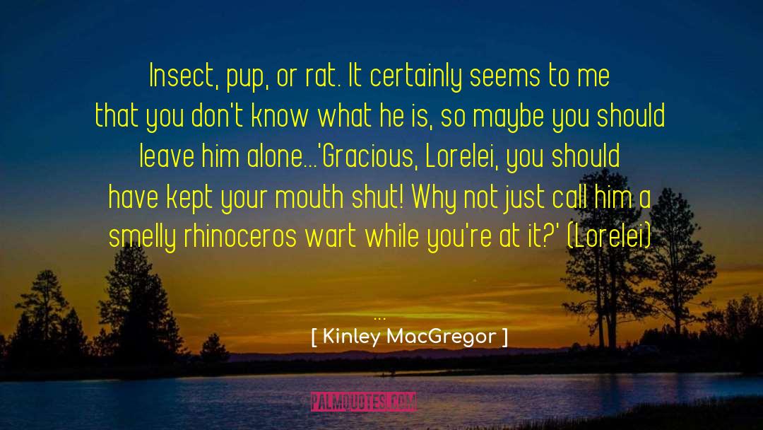 Kinley MacGregor Quotes: Insect, pup, or rat. It