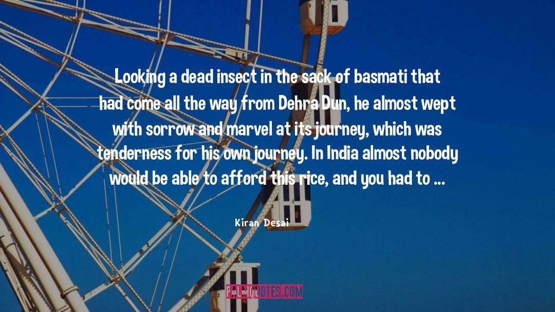Kiran Desai Quotes: Looking a dead insect in