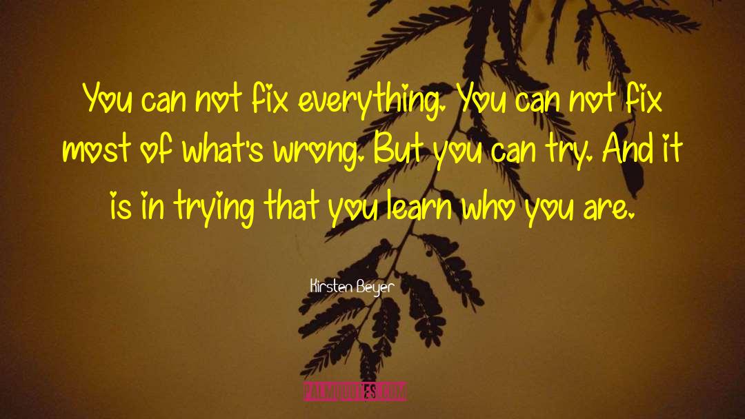 Kirsten Beyer Quotes: You can not fix everything.