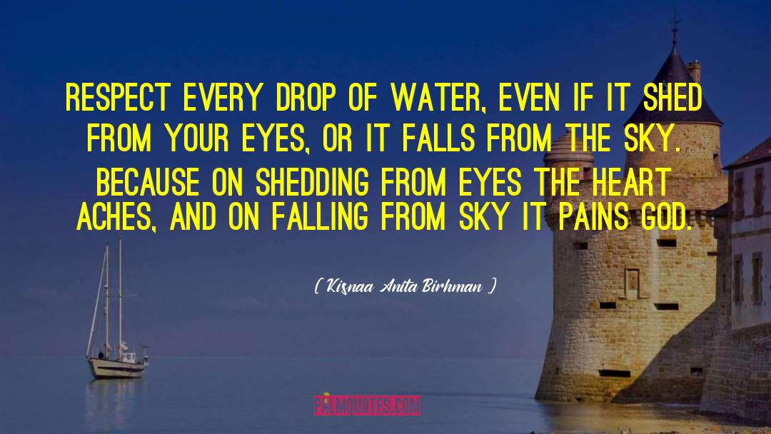 Kisnaa Anita Birhman Quotes: Respect every drop of water,