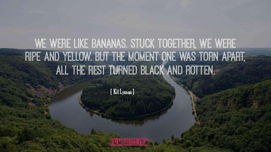 Kit Lyman Quotes: We were like bananas. Stuck