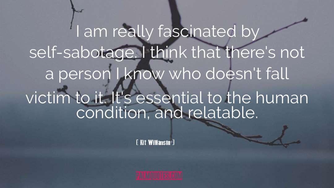 Kit Williamson Quotes: I am really fascinated by