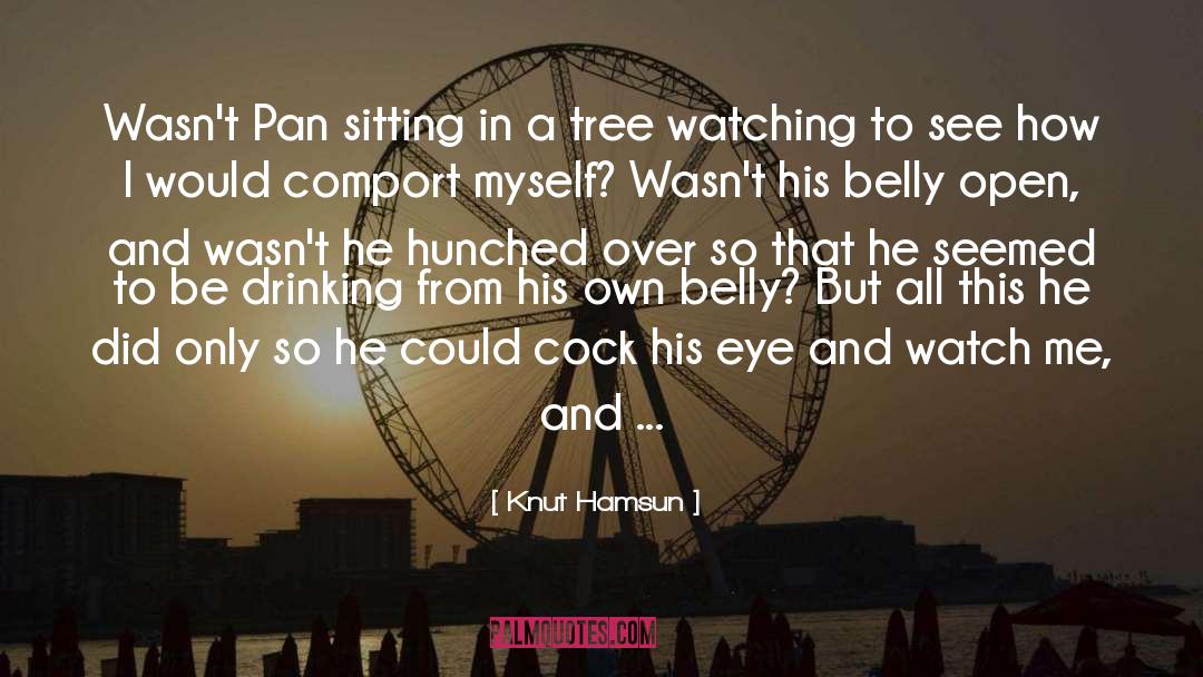 Knut Hamsun Quotes: Wasn't Pan sitting in a