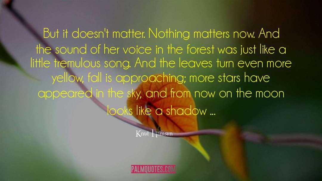 Knut Hamsun Quotes: But it doesn't matter. Nothing