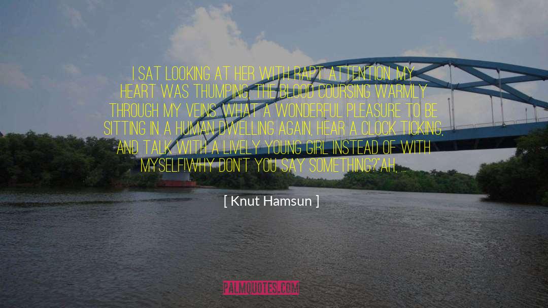 Knut Hamsun Quotes: I sat looking at her