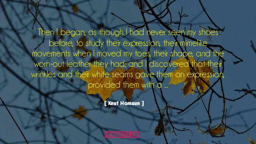 Knut Hamsun Quotes: Then I began, as though