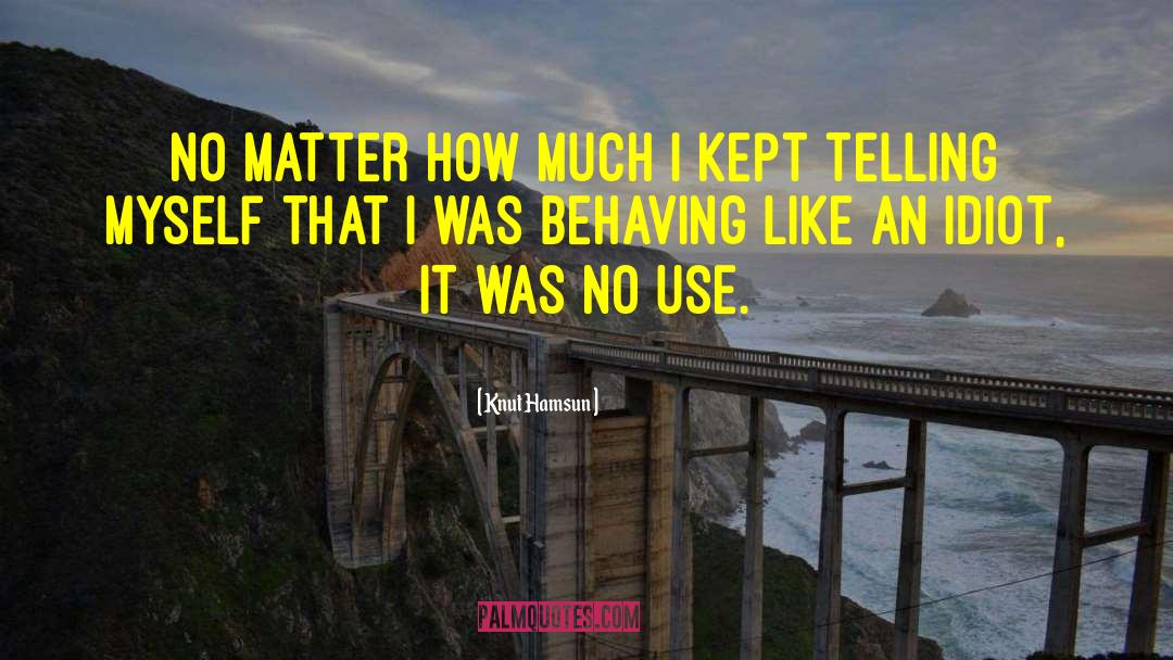 Knut Hamsun Quotes: No matter how much I