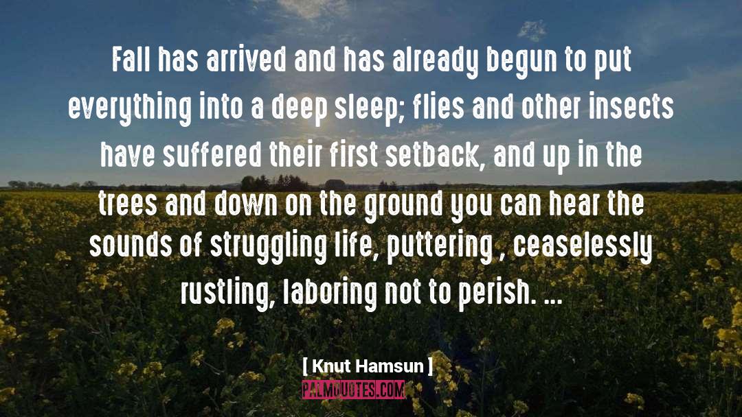 Knut Hamsun Quotes: Fall has arrived and has