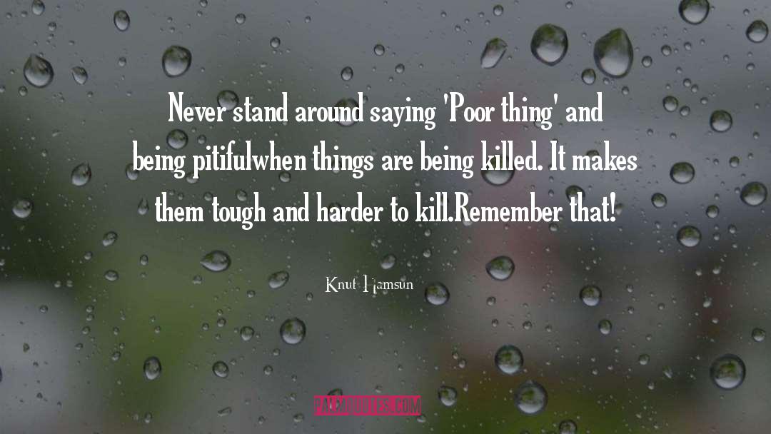 Knut Hamsun Quotes: Never stand around saying 'Poor