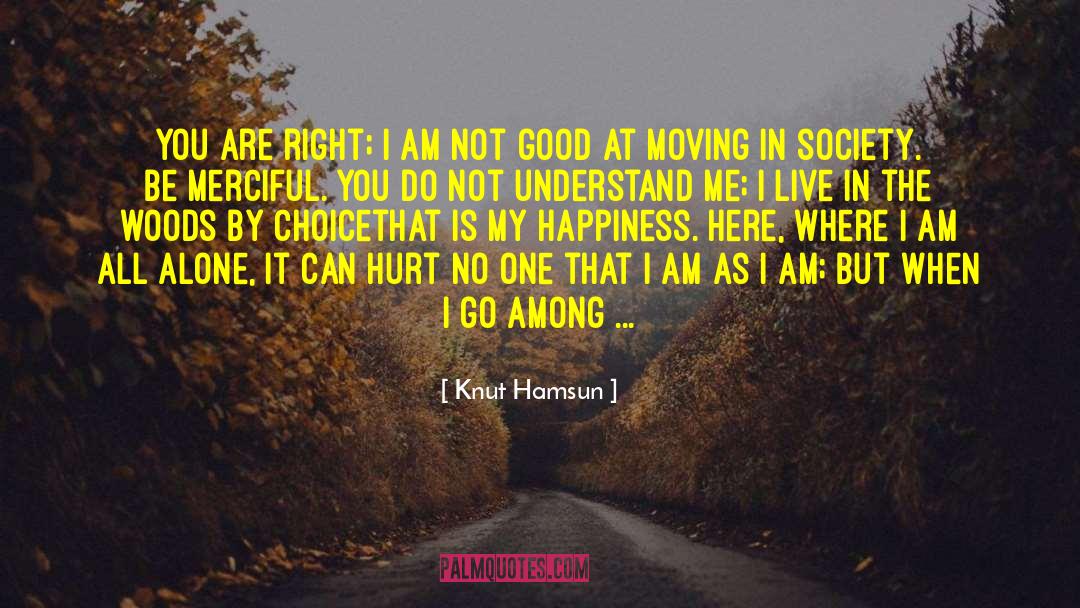 Knut Hamsun Quotes: You are right; I am