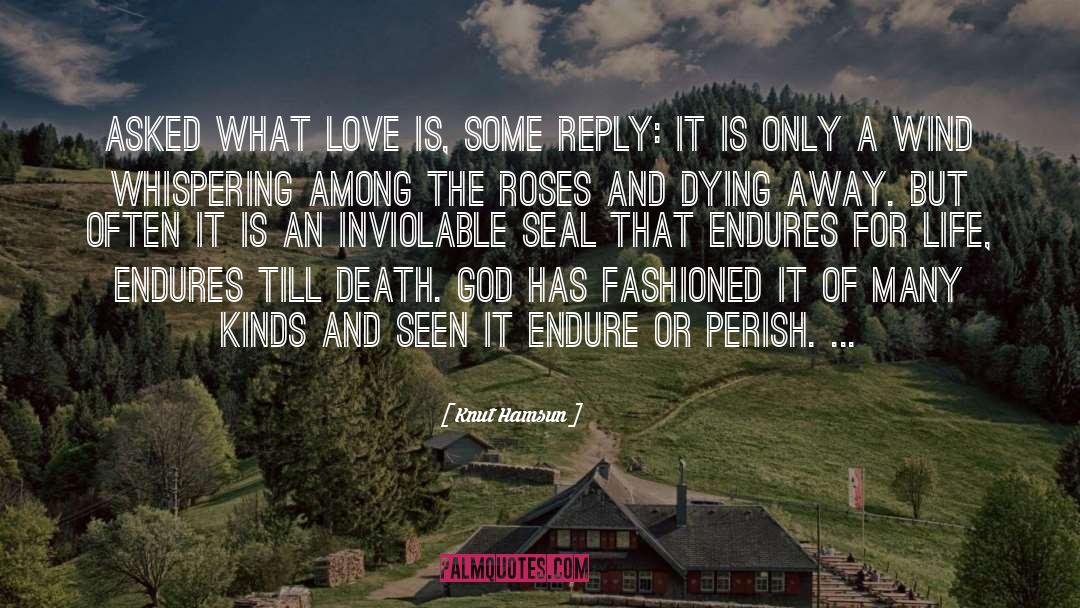 Knut Hamsun Quotes: Asked what love is, some