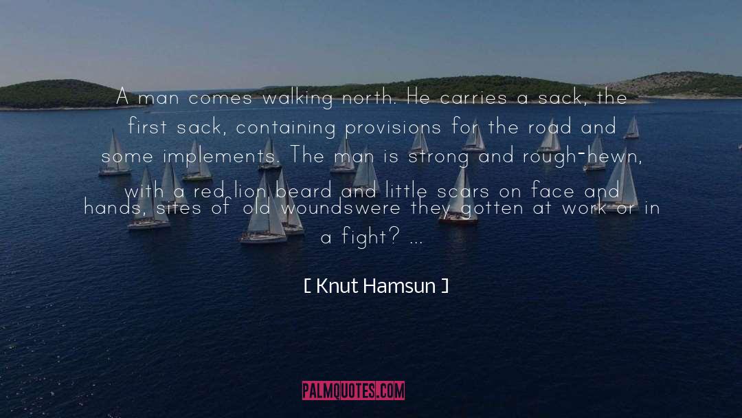 Knut Hamsun Quotes: A man comes walking north.