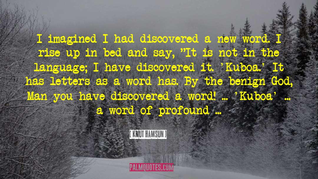 Knut Hamsun Quotes: I imagined I had discovered