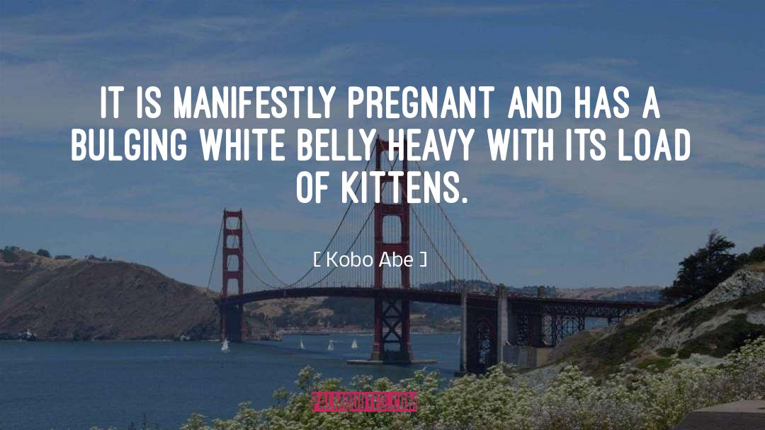 Kobo Abe Quotes: It is manifestly pregnant and