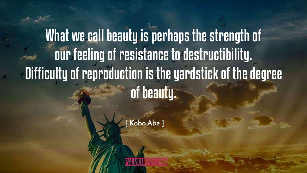 Kobo Abe Quotes: What we call beauty is