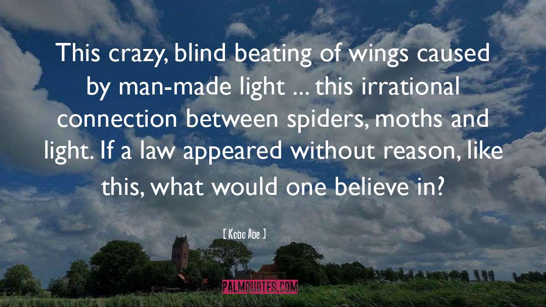Kobo Abe Quotes: This crazy, blind beating of