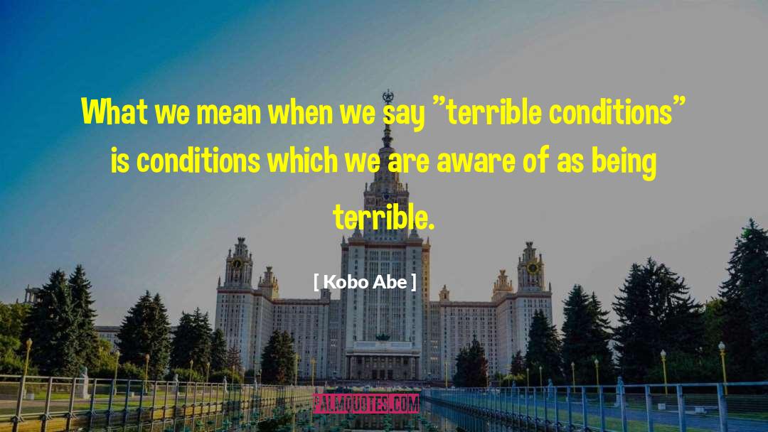 Kobo Abe Quotes: What we mean when we