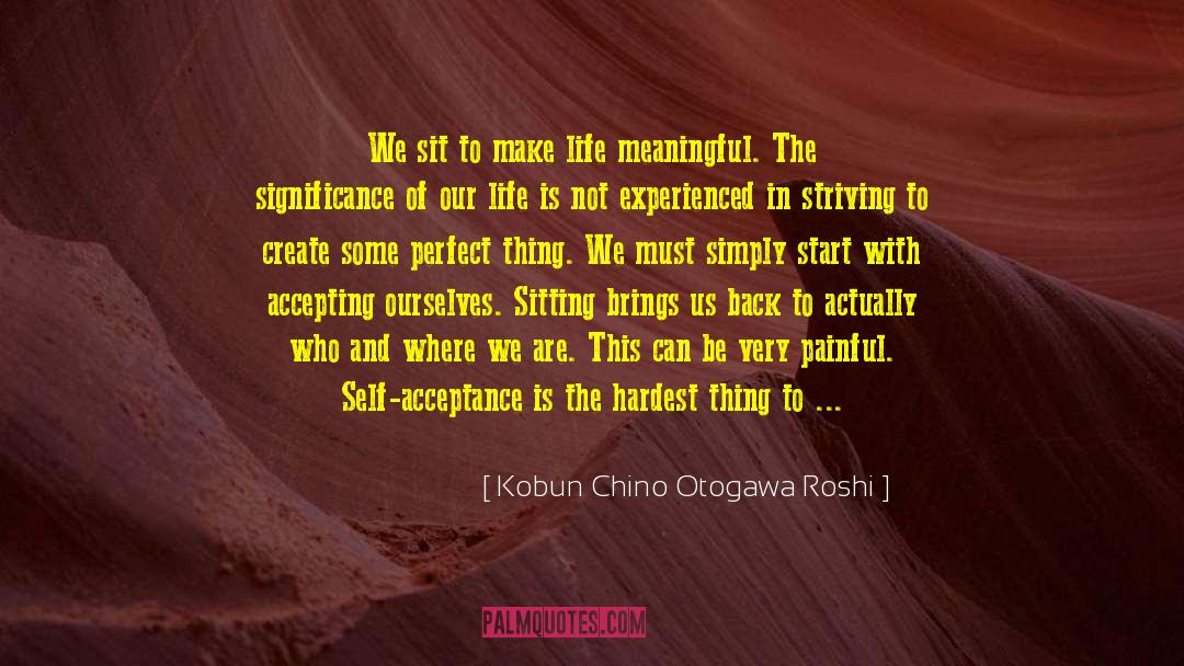 Kobun Chino Otogawa Roshi Quotes: We sit to make life