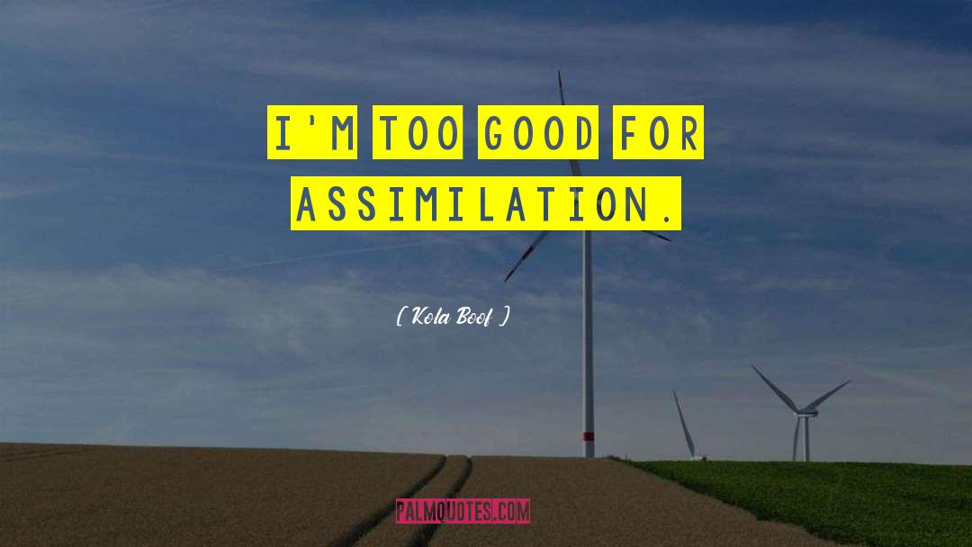Kola Boof Quotes: I'm too good for assimilation.