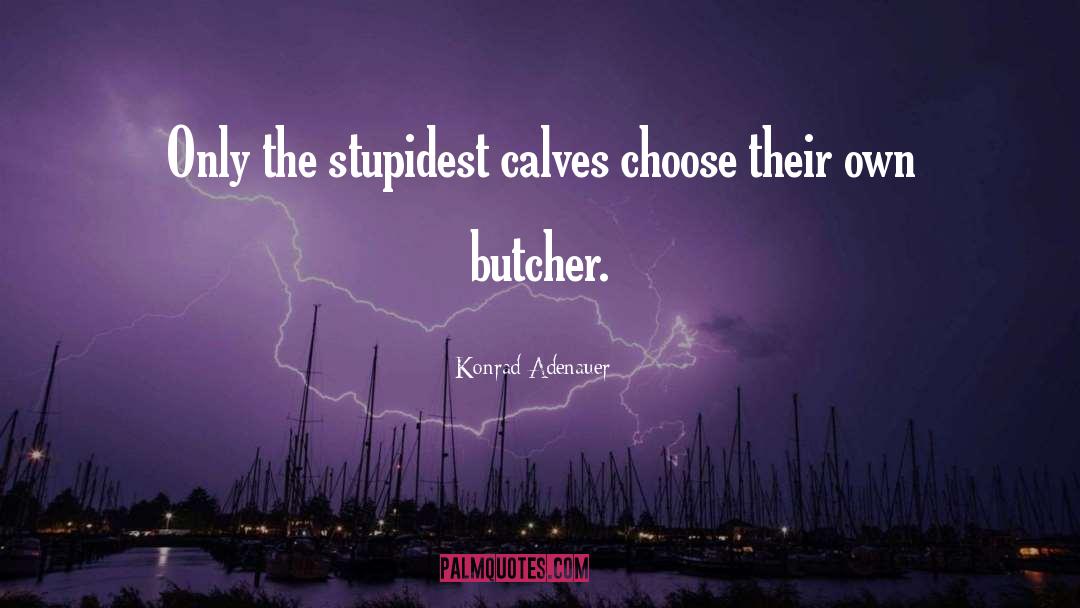 Konrad Adenauer Quotes: Only the stupidest calves choose