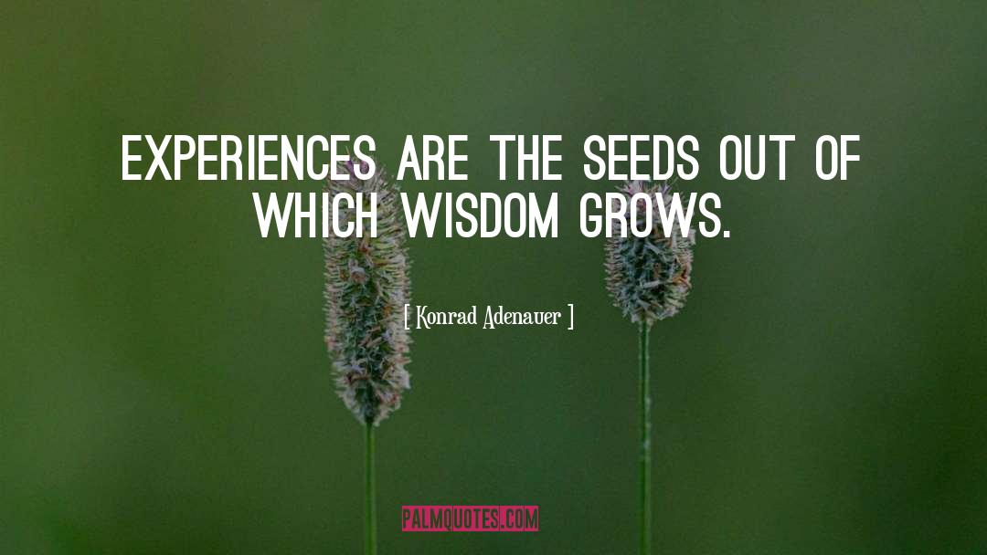 Konrad Adenauer Quotes: Experiences are the seeds out