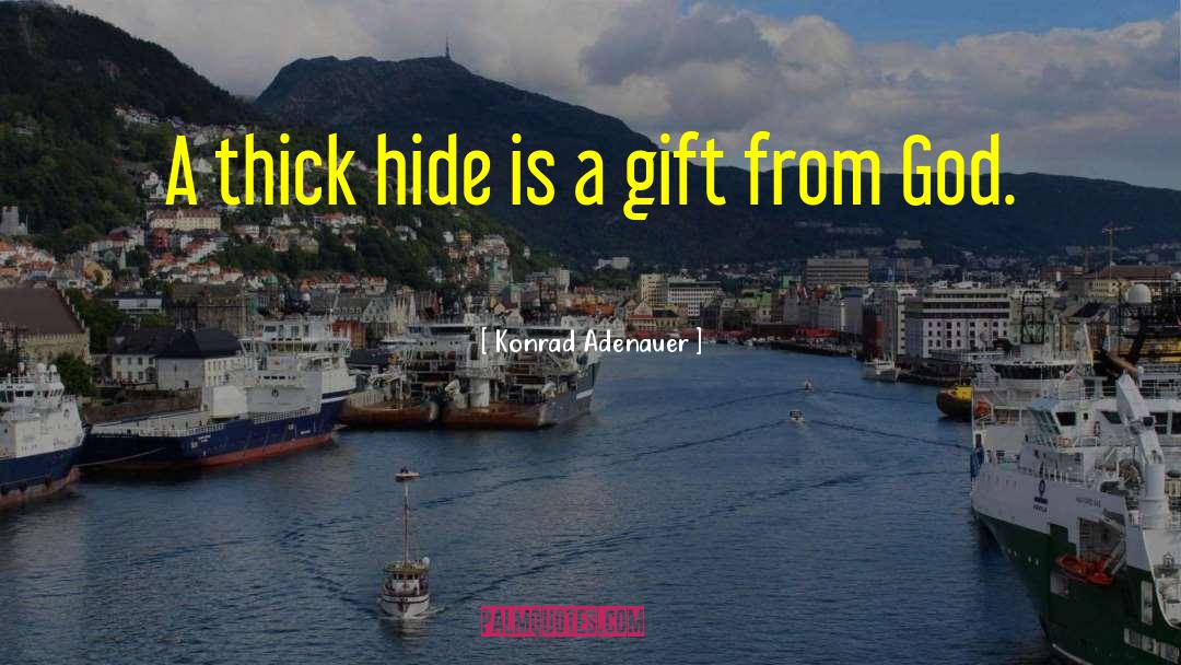 Konrad Adenauer Quotes: A thick hide is a