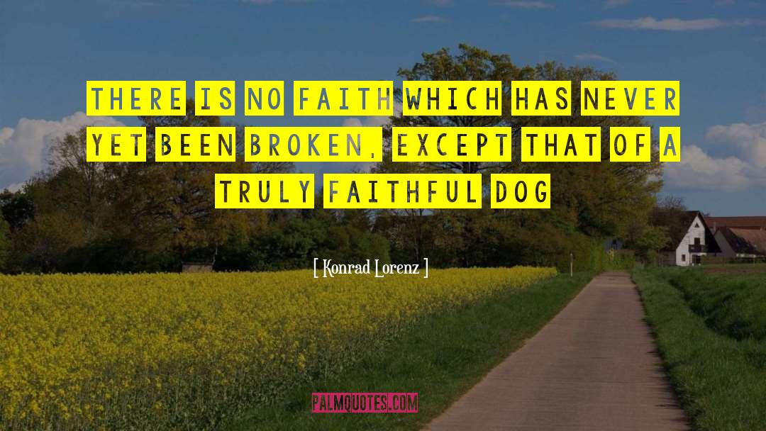 Konrad Lorenz Quotes: There is no faith which