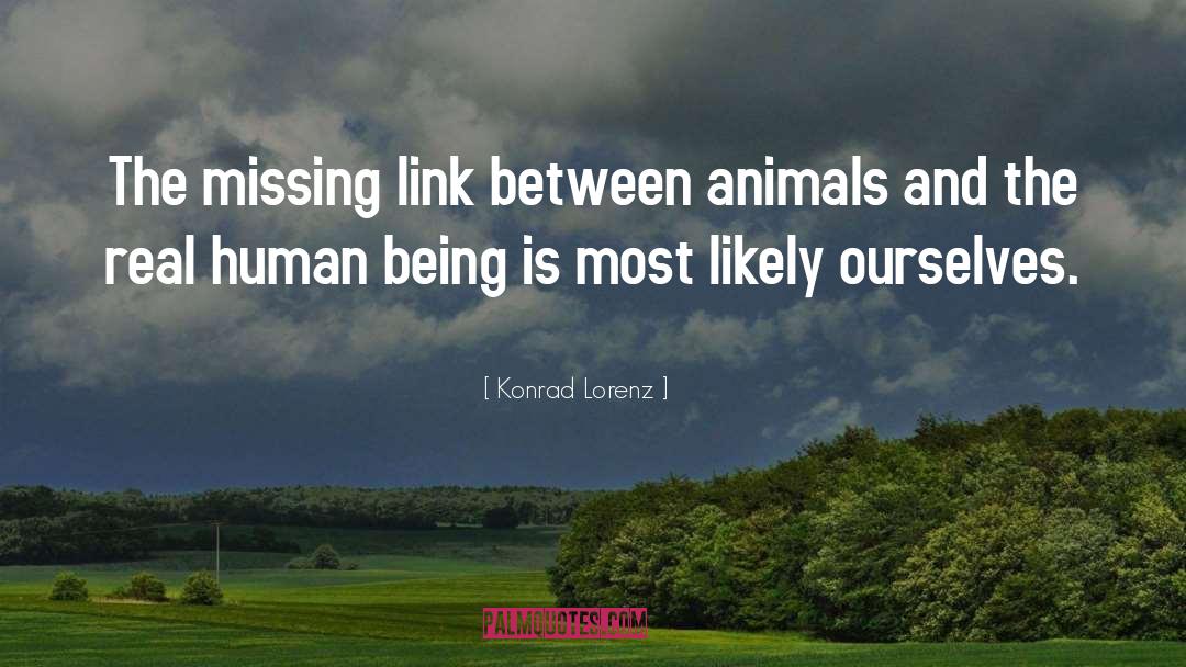 Konrad Lorenz Quotes: The missing link between animals
