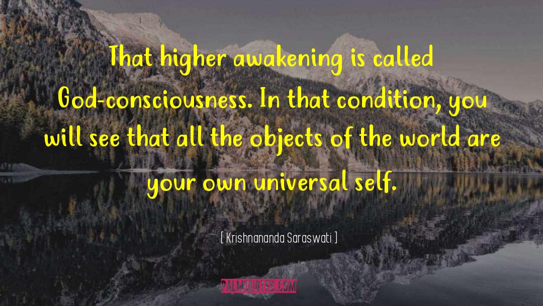 Krishnananda Saraswati Quotes: That higher awakening is called