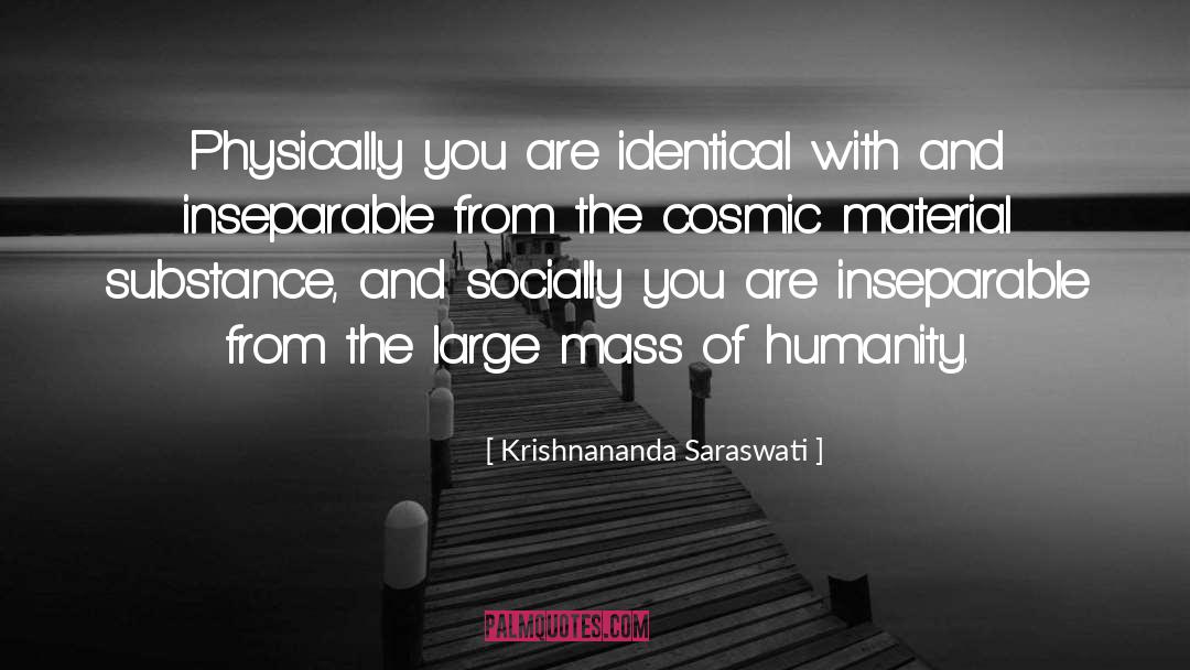 Krishnananda Saraswati Quotes: Physically you are identical with