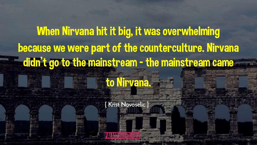 Krist Novoselic Quotes: When Nirvana hit it big,