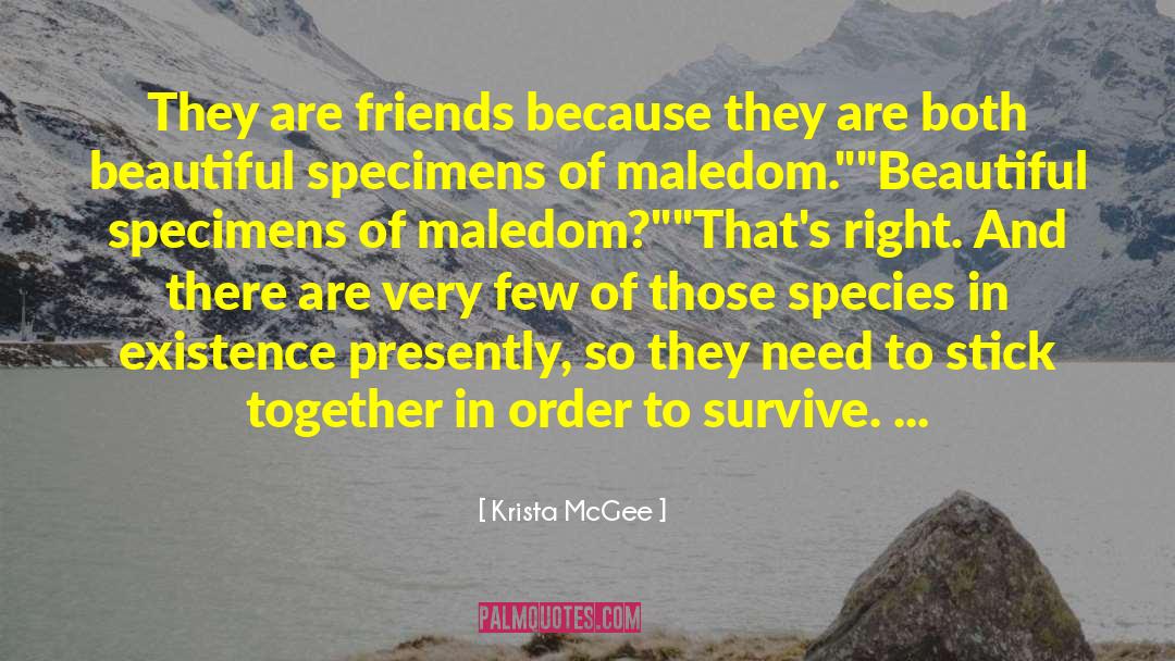 Krista McGee Quotes: They are friends because they