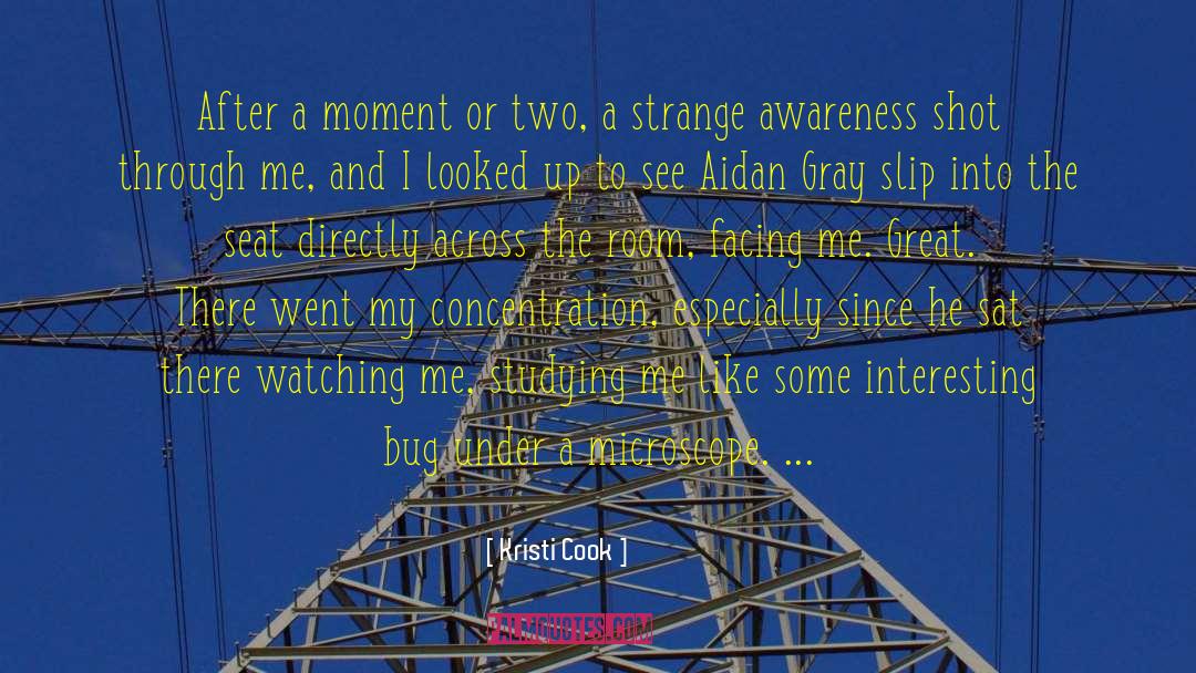 Kristi Cook Quotes: After a moment or two,