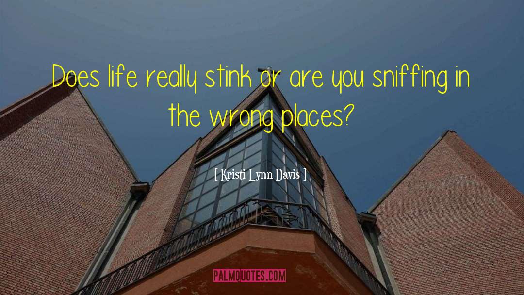 Kristi Lynn Davis Quotes: Does life really stink or