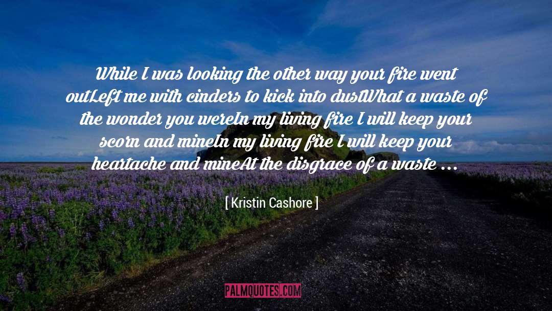 Kristin Cashore Quotes: While I was looking the