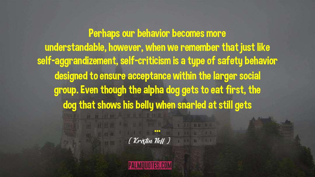 Kristin Neff Quotes: Perhaps our behavior becomes more