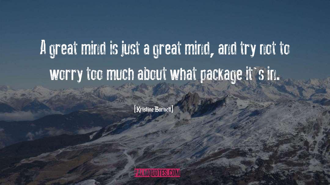 Kristine Barnett Quotes: A great mind is just