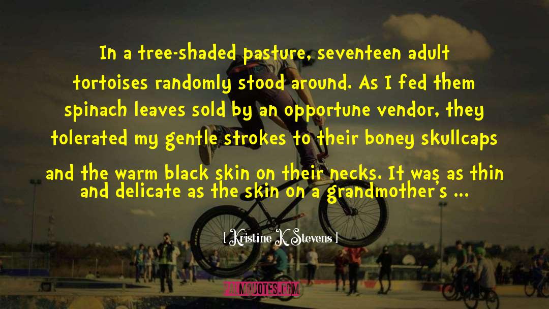 Kristine K. Stevens Quotes: In a tree-shaded pasture, seventeen